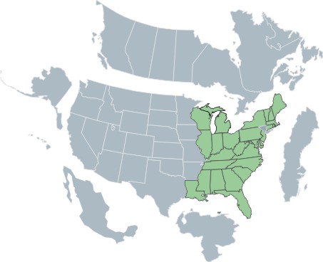 SSI Sales Region Map